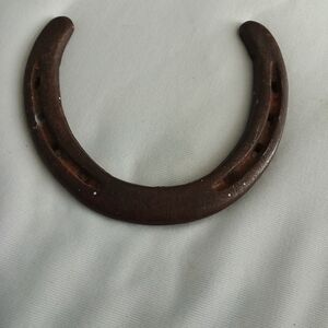 Diamond Supply Co. Rustic Brown Horseshoe